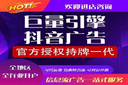 某行业SEM投放效果显著案例分享